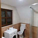 Vlajic 2015 *
